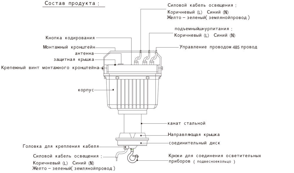c1-ey.jpg